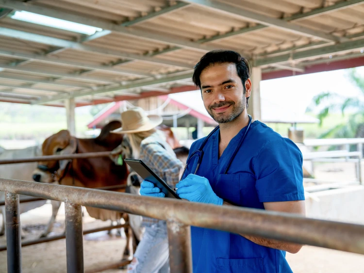 estudiar-operacion-ganadera-equina-2